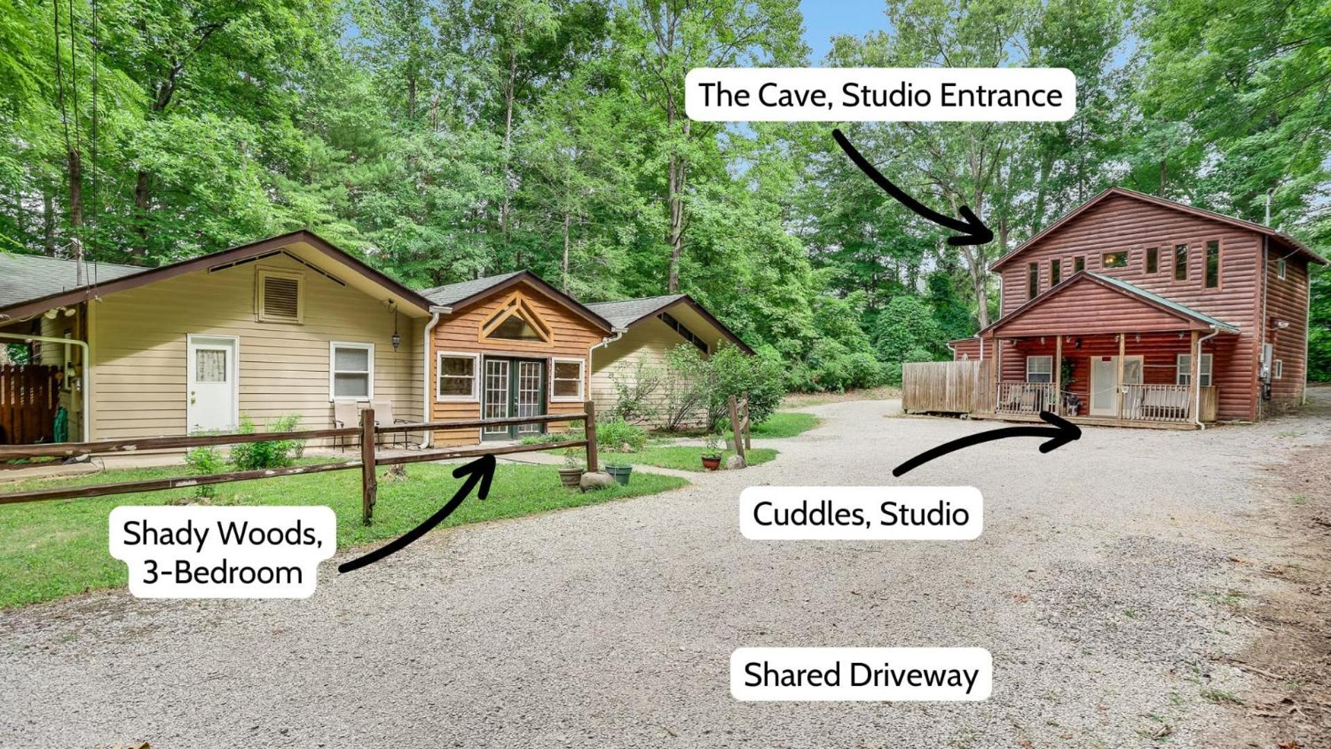 Cuddles, 1 Bedroom Studio, Walk To Downtown And Hiking Trails! Gatlinburg Eksteriør billede